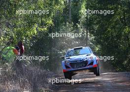 Haydon Paddon (NZ) John Kennard (NZ) Hyundai i20 WRC .  11-14.09.2014. World Rally Championship, Rd 10, Coates Hire Rally Australia, Coffs Harbour, New South Wales, Australia