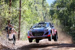 Thierry Neuville (BEL) Nicolas Gilsoul (BEL) Hyundai i20 WRC .  11-14.09.2014. World Rally Championship, Rd 10, Coates Hire Rally Australia, Coffs Harbour, New South Wales, Australia