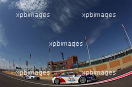   Free Practice 2, Dusan Borkovic (SRB) Chevrolet RML Cruze TC1, NIS Petrol by Campos Racing   12.04.2014. World Touring Car Championship, Rounds 01 and 02, Marrakech, Morocco.