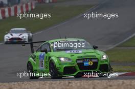 116, Speich, Rudi - Waschkau, Roland - Vleugels, Dirk, Audi TT, MSC Sinzig e.V. im ADAC 16-17.05.2015 Nurburging 24 Hours, Nordschleife, Nurburging, Germany