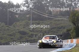 Richard Lietz (AUT) Sebastian Asch (GER) Christian Ried (GER) PROTON COMPETITION Porsche 911 RSR 17.-18.10.2015. ELMS Round 5, Estoril, Portugal.