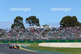 Daniel Ricciardo (AUS), Red Bull Racing  13.03.2015. Formula 1 World Championship, Rd 1, Australian Grand Prix, Albert Park, Melbourne, Australia, Practice Day.