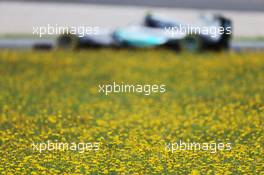 Nico Rosberg (GER) Mercedes AMG F1 W06. 19.06.2015. Formula 1 World Championship, Rd 8, Austrian Grand Prix, Spielberg, Austria, Practice Day.