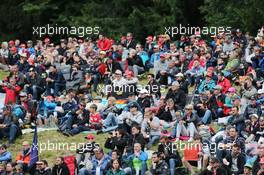 Fans. 21.06.2015. Formula 1 World Championship, Rd 8, Austrian Grand Prix, Spielberg, Austria, Race Day.