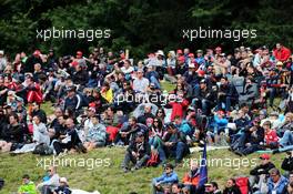 Fans. 21.06.2015. Formula 1 World Championship, Rd 8, Austrian Grand Prix, Spielberg, Austria, Race Day.