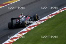 Jenson Button (GBR), McLaren Honda  21.08.2015. Formula 1 World Championship, Rd 11, Belgian Grand Prix, Spa Francorchamps, Belgium, Practice Day.