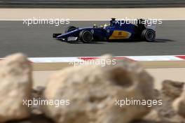 Marcus Ericsson (SWE), Sauber F1 Team  17.04.2015. Formula 1 World Championship, Rd 4, Bahrain Grand Prix, Sakhir, Bahrain, Practice Day