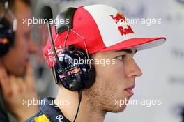 Pierre Gasly (FRA) Red Bull Racing Test Driver. 13.11.2015. Formula 1 World Championship, Rd 18, Brazilian Grand Prix, Sao Paulo, Brazil, Practice Day.