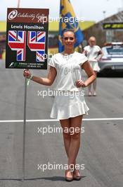 Grid girl for Lewis Hamilton (GBR) Mercedes AMG F1. 15.11.2015. Formula 1 World Championship, Rd 18, Brazilian Grand Prix, Sao Paulo, Brazil, Race Day.