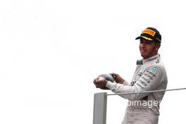 Lewis Hamilton (GBR), Mercedes AMG F1 Team  15.11.2015. Formula 1 World Championship, Rd 18, Brazilian Grand Prix, Sao Paulo, Brazil, Race Day.