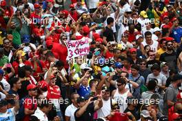 Race fans. 15.11.2015. Formula 1 World Championship, Rd 18, Brazilian Grand Prix, Sao Paulo, Brazil, Race Day.
