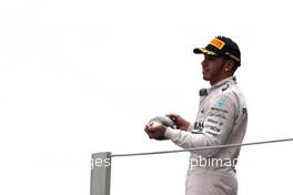 Lewis Hamilton (GBR), Mercedes AMG F1 Team  15.11.2015. Formula 1 World Championship, Rd 18, Brazilian Grand Prix, Sao Paulo, Brazil, Race Day.