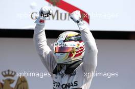 Lewis Hamilton (GBR), Mercedes AMG F1 Team  05.07.2015. Formula 1 World Championship, Rd 9, British Grand Prix, Silverstone, England, Race Day.