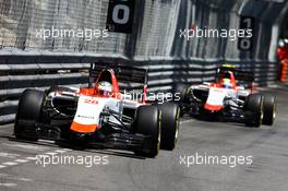 Will Stevens (GBR) Manor Marussia F1 Team leads team mate Roberto Merhi (ESP) Manor Marussia F1 Team. 24.05.2015. Formula 1 World Championship, Rd 6, Monaco Grand Prix, Monte Carlo, Monaco, Race Day.