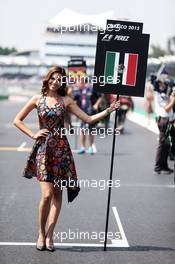 Grid girl for Sergio Perez (MEX) Sahara Force India F1. 01.11.2015. Formula 1 World Championship, Rd 17, Mexican Grand Prix, Mexixo City, Mexico, Race Day.