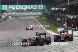Fernando Alonso (ESP) McLaren MP4-30 leads team mate Jenson Button (GBR) McLaren MP4-30. 29.03.2015. Formula 1 World Championship, Rd 2, Malaysian Grand Prix, Sepang, Malaysia, Sunday.