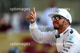 Lewis Hamilton (GBR), Mercedes AMG F1 Team  29.11.2015. Formula 1 World Championship, Rd 19, Abu Dhabi Grand Prix, Yas Marina Circuit, Abu Dhabi, Race Day.