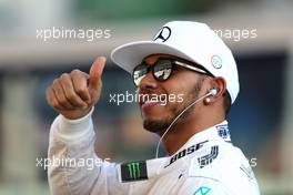 Lewis Hamilton (GBR), Mercedes AMG F1 Team  29.11.2015. Formula 1 World Championship, Rd 19, Abu Dhabi Grand Prix, Yas Marina Circuit, Abu Dhabi, Race Day.