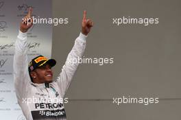 1st place and world champion Lewis Hamilton (GBR) Mercedes AMG F1. 25.10.2015. Formula 1 World Championship, Rd 16, United States Grand Prix, Austin, Texas, USA, Race Day.