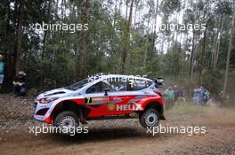 Thierry Neuville (BEL) Nicolas Gilsoul (BEL) Hyundai i20 WRC 09-13.09.2015 FIA World Rally Championship 2015, Rd 10, Rally Australia, Coffs Harbour, Australia