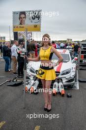 grid girl,  16.07.2016, DTM Round 5, Zandvoort, Netherland, Saturday.