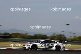 Tom Blomqvist (GBR) BMW Team RBM, BMW M4 DTM. 24.09.2016, DTM Round 8, Hungaroring, Hungary, Saturday, Free Practice.