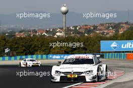 Martin Tomczyk (GER) BMW Team Schnitzer, BMW M4 DTM. 24.09.2016, DTM Round 8, Hungaroring, Hungary, Saturday, Free Practice.