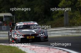 António Félix da Costa (POR) BMW Team Schnitzer, BMW M4 DTM. 25.09.2016, DTM Round 8, Hungaroring, Hungary, Sunday, Free Practice.