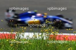 Felipe Nasr (BRA) Sauber C35. 02.07.2016. Formula 1 World Championship, Rd 9, Austrian Grand Prix, Spielberg, Austria, Qualifying Day.