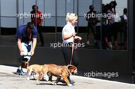 Roscoe and Coco - dogs owned by Lewis Hamilton (GBR) Mercedes AMG F1. 25.08.2016. Formula 1 World Championship, Rd 13, Belgian Grand Prix, Spa Francorchamps, Belgium, Preparation Day.