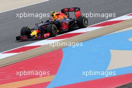 Daniil Kvyat (RUS), Red Bull Racing  01.04.2016. Formula 1 World Championship, Rd 2, Bahrain Grand Prix, Sakhir, Bahrain, Practice Day