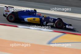 Felipe Nasr (BRA), Sauber F1 Team  02.04.2016. Formula 1 World Championship, Rd 2, Bahrain Grand Prix, Sakhir, Bahrain, Qualifying Day.