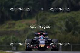 Daniil Kvyat (RUS), Scuderia Toro Rosso  01.10.2016. Formula 1 World Championship, Rd 16, Malaysian Grand Prix, Sepang, Malaysia, Saturday.