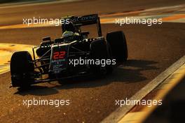 Jenson Button (GBR) McLaren F1  27.11.2016. Formula 1 World Championship, Rd 21, Abu Dhabi Grand Prix, Yas Marina Circuit, Abu Dhabi, Race Day.