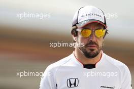 Fernando Alonso (ESP) McLaren. 24.11.2016. Formula 1 World Championship, Rd 21, Abu Dhabi Grand Prix, Yas Marina Circuit, Abu Dhabi, Preparation Day.