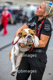 A dog owned by Lewis Hamilton (GBR) Mercedes AMG F1. 20.10.2016. Formula 1 World Championship, Rd 18, United States Grand Prix, Austin, Texas, USA, Preparation Day.