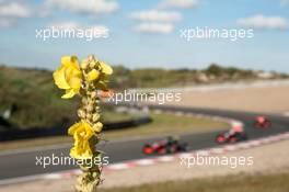 landscape, Van Amersfoort Racing,  15.07.2016. FIA F3 European Championship 2016, Round 6, Qualifying, Zandvoort, Germany