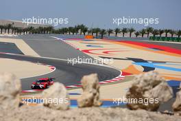 Qualifying, Sergey Afanasyev (RUS) SEAT Leon, Team Craft-Bamboo LUKOIL 02.04.2016. TCR International Series, Rd 1, Sakhir, Bahrain, Saturday.