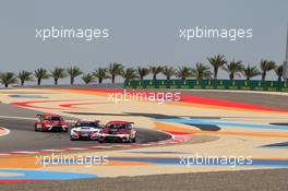 Qualifying, Salman Al Khalifa (BRN), SEAT Leon, Bas Koeten Racing 02.04.2016. TCR International Series, Rd 1, Sakhir, Bahrain, Saturday.