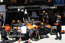 Fernando Alonso (ESP) McLaren MCL32 makes a pit stop. 12.11.2017. Formula 1 World Championship, Rd 19, Brazilian Grand Prix, Sao Paulo, Brazil, Race Day.