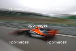 Stoffel Vandoorne (BEL) McLaren F1  11.11.2017. Formula 1 World Championship, Rd 19, Brazilian Grand Prix, Sao Paulo, Brazil, Qualifying Day.