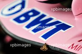 A moth on the Sahara Force India F1 VJM10 front wing. 09.11.2017. Formula 1 World Championship, Rd 19, Brazilian Grand Prix, Sao Paulo, Brazil, Preparation Day.