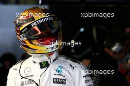 Lewis Hamilton (GBR) Mercedes AMG F1. 28.04.2017. Formula 1 World Championship, Rd 4, Russian Grand Prix, Sochi Autodrom, Sochi, Russia, Practice Day.