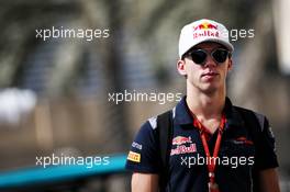 Pierre Gasly (FRA) Scuderia Toro Rosso. 24.11.2017. Formula 1 World Championship, Rd 20, Abu Dhabi Grand Prix, Yas Marina Circuit, Abu Dhabi, Practice Day.