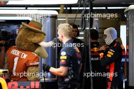 Bevo (USA) Longhorn Bull Mascot of the University of Texas, with Max Verstappen (NLD) Red Bull Racing. 20.10.2017. Formula 1 World Championship, Rd 17, United States Grand Prix, Austin, Texas, USA, Practice Day.