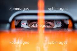 Fernando Alonso (ESP) McLaren MCL32. 20.10.2017. Formula 1 World Championship, Rd 17, United States Grand Prix, Austin, Texas, USA, Practice Day.