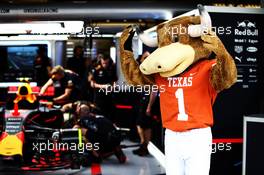Bevo (USA) Longhorn Bull Mascot of the University of Texas, with the Red Bull Racing team. 20.10.2017. Formula 1 World Championship, Rd 17, United States Grand Prix, Austin, Texas, USA, Practice Day.