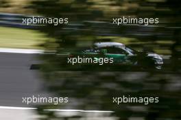 Mike Rockenfeller (GER) Audi Sport Team Phoenix, Audi RS 5 DTM. 03.06.2018, DTM Round 3, Hungaroring, Hungary, Sunday.