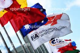 Circuit atmosphere - flags. 09.11.2018. Formula 1 World Championship, Rd 20, Brazilian Grand Prix, Sao Paulo, Brazil, Practice Day.