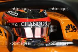 Stoffel Vandoorne (BEL) McLaren F1  10.11.2018. Formula 1 World Championship, Rd 20, Brazilian Grand Prix, Sao Paulo, Brazil, Qualifying Day.